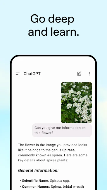ChatGPT Screenshot 2