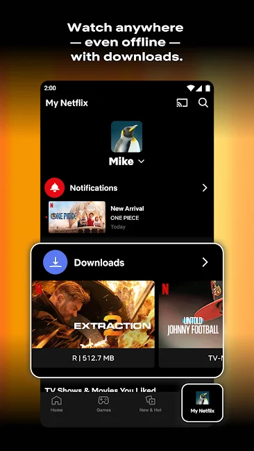 Netflix Screenshot 4