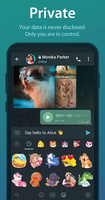 Telegram Premium Screenshot 2