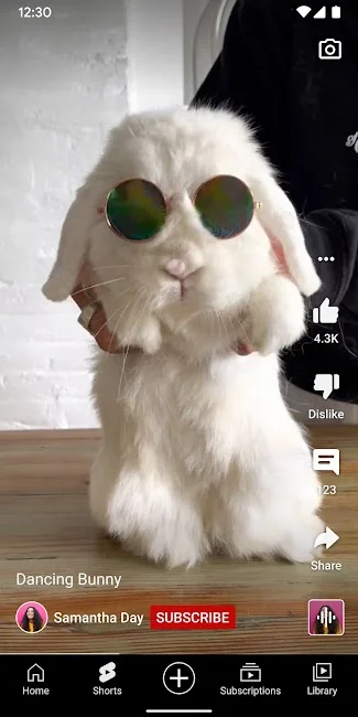 Youtube Premium Screenshot 4